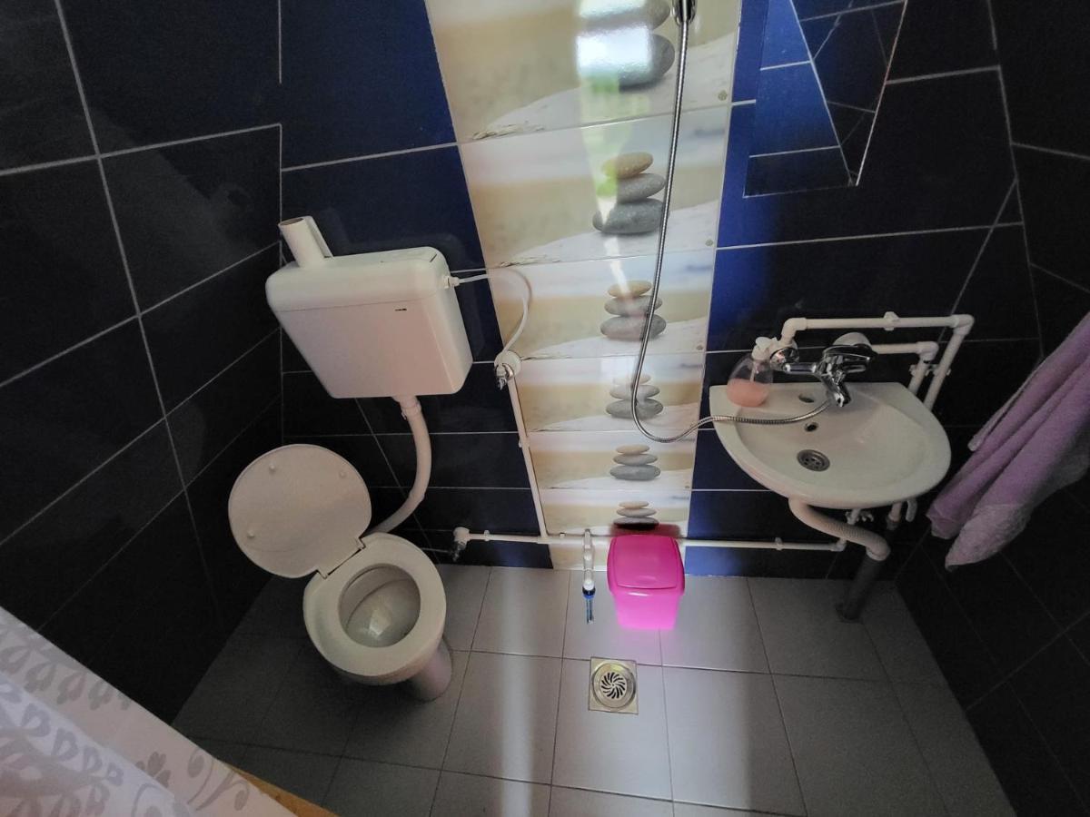 הוילה סייניצה Brvnare.Smaka מראה חיצוני תמונה